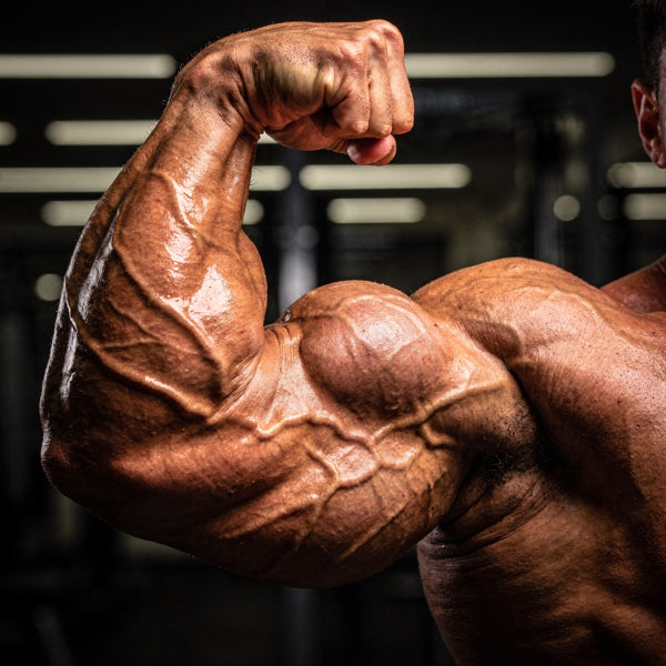 Bulky myth